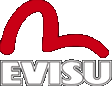 evisu_logo.gif